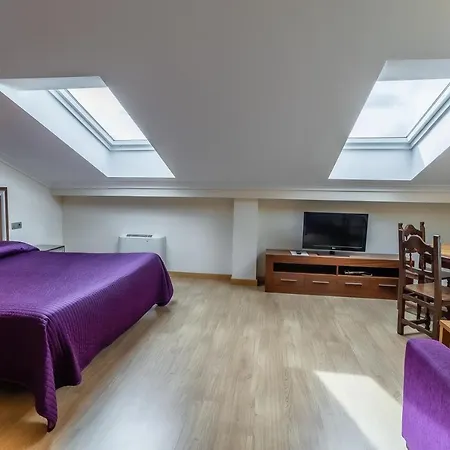 Hotel Hotel Santo Domingo De Silos